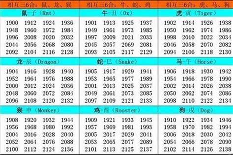 1989年出生属什么